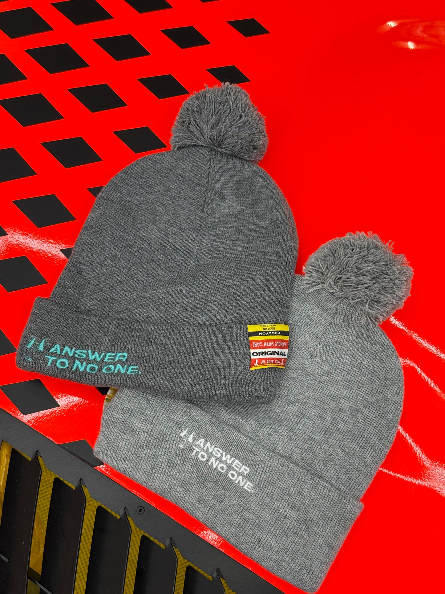 Procyon | Season 3, Article 03 - "The rEvolution" Mystery Winter Hat