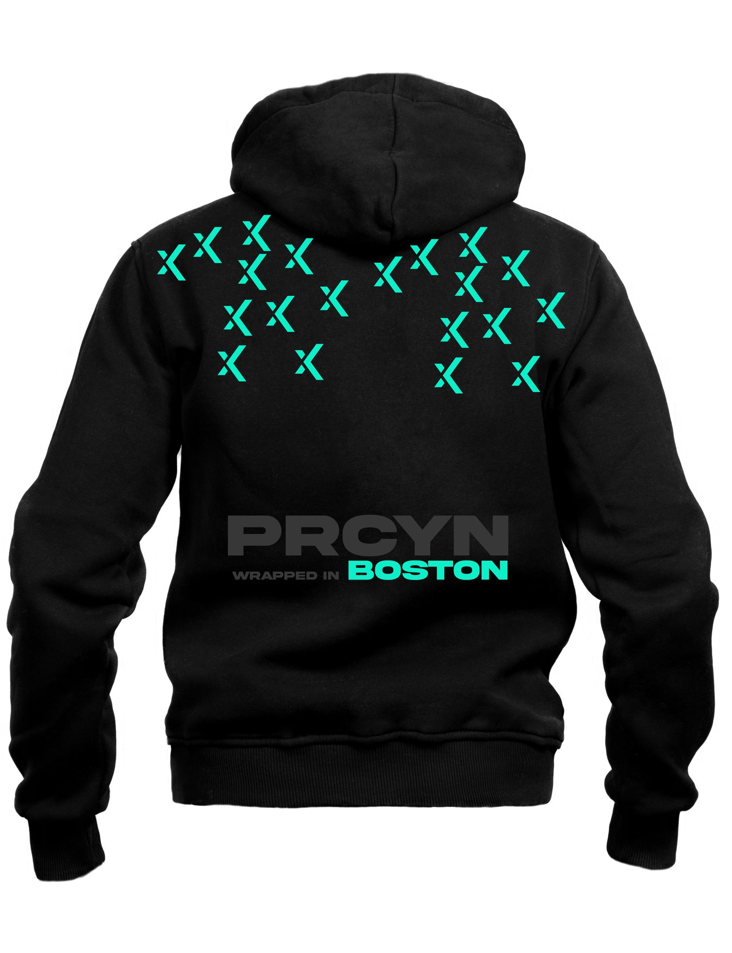Procyon | Season 2, Article 10 - Heavy Pullover Hoodie