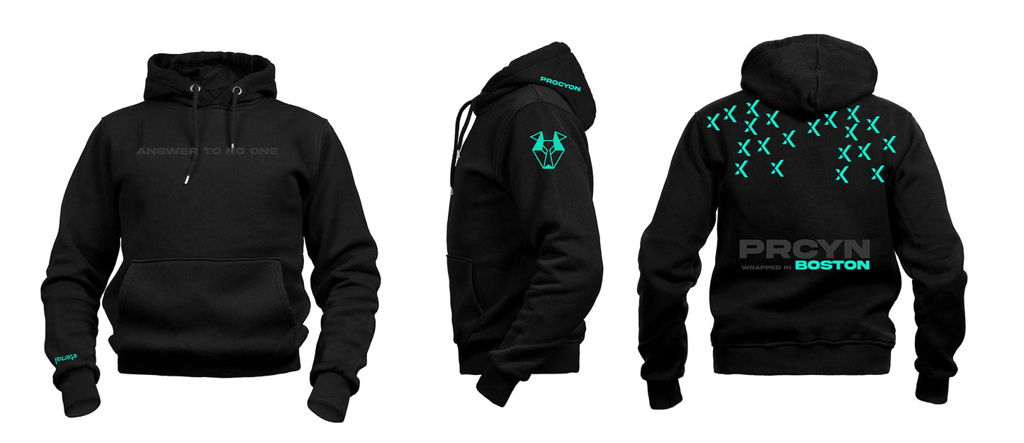 Procyon | Season 2, Article 10 - Heavy Pullover Hoodie