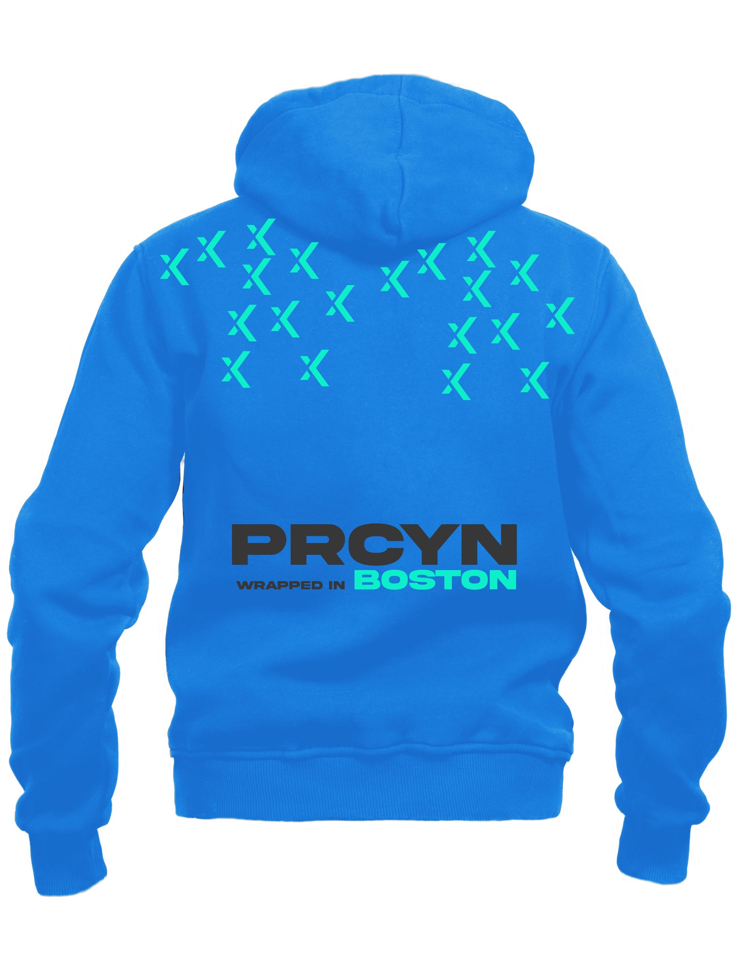 Procyon | Season 2, Article 10 - Heavy Pullover Hoodie