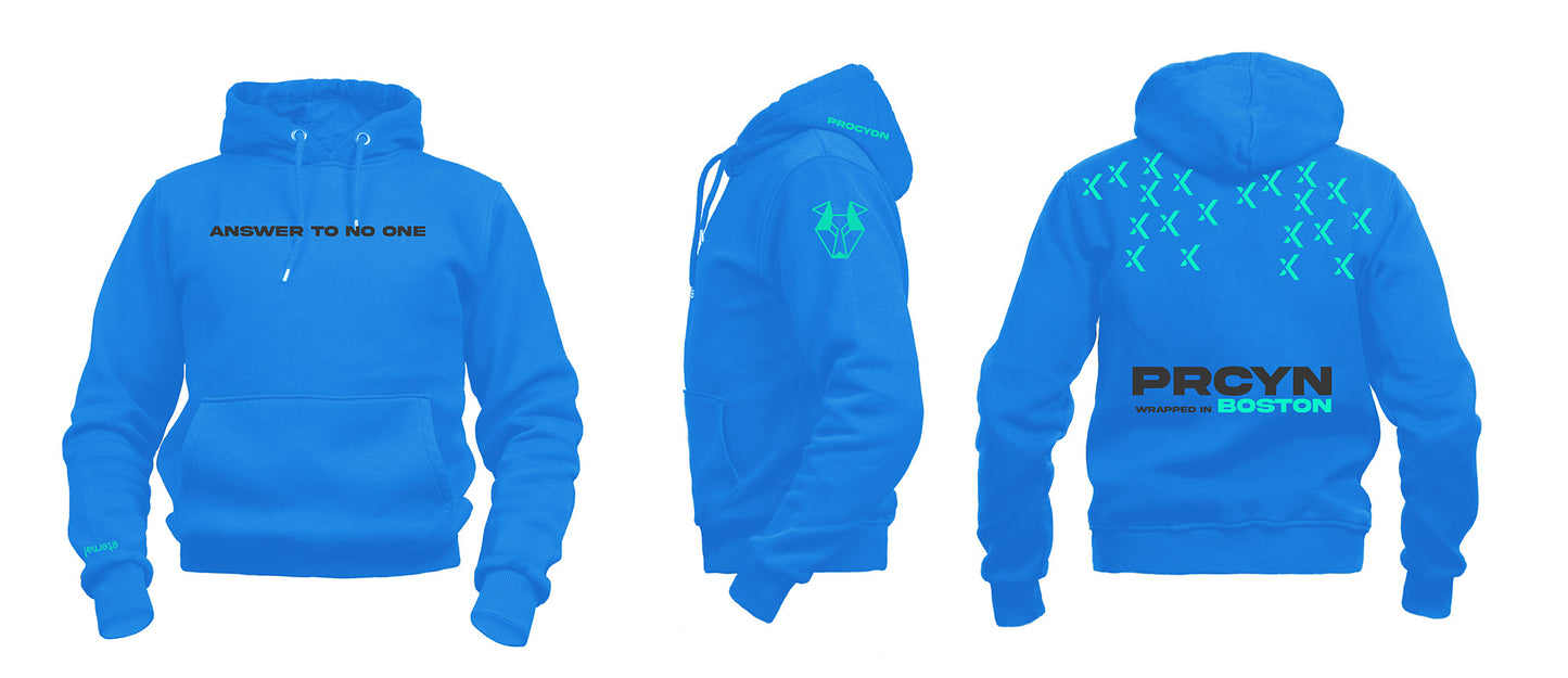 Procyon | Season 2, Article 10 - Heavy Pullover Hoodie