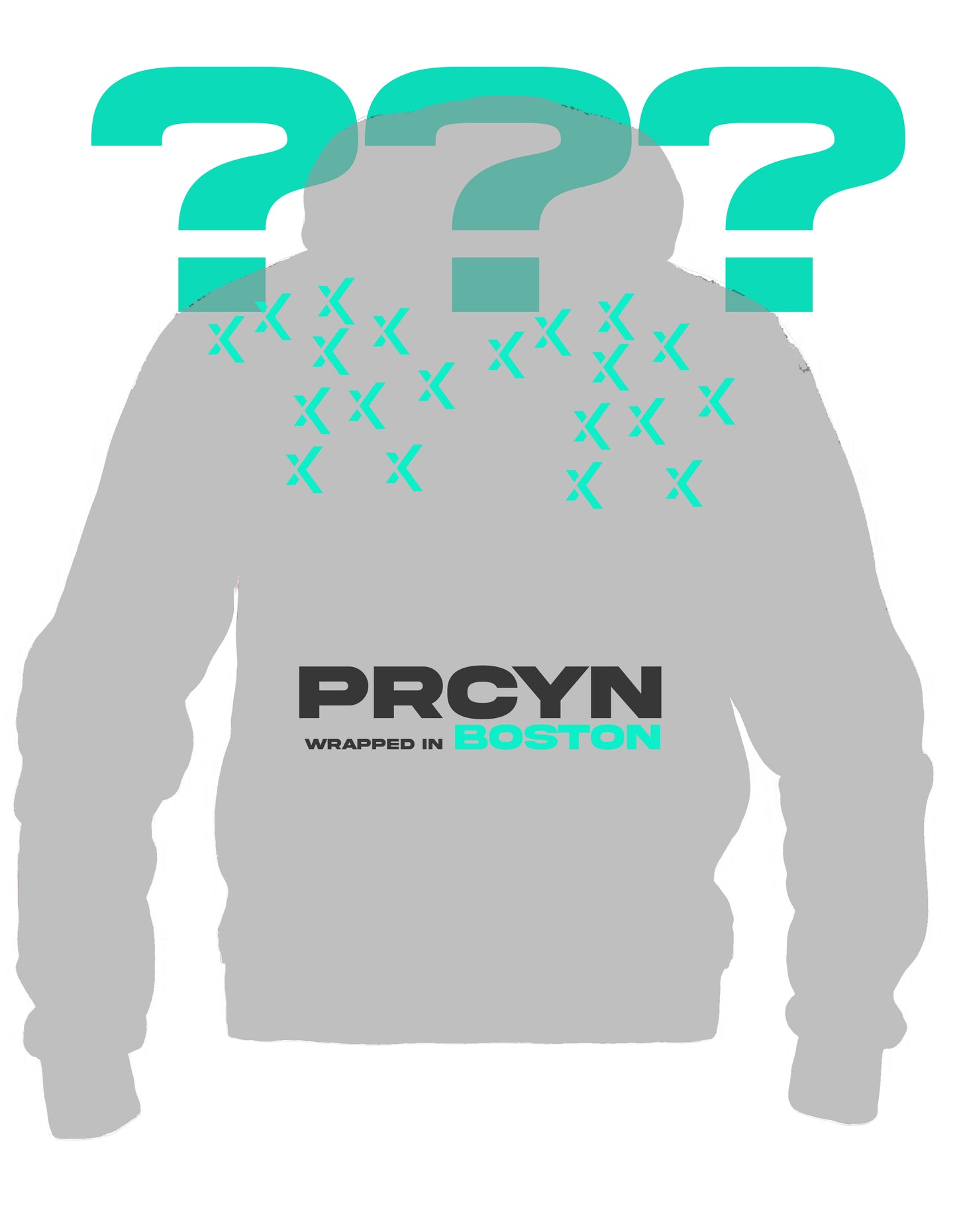 Procyon | Season 2, Article 10 - Heavy Pullover Hoodie