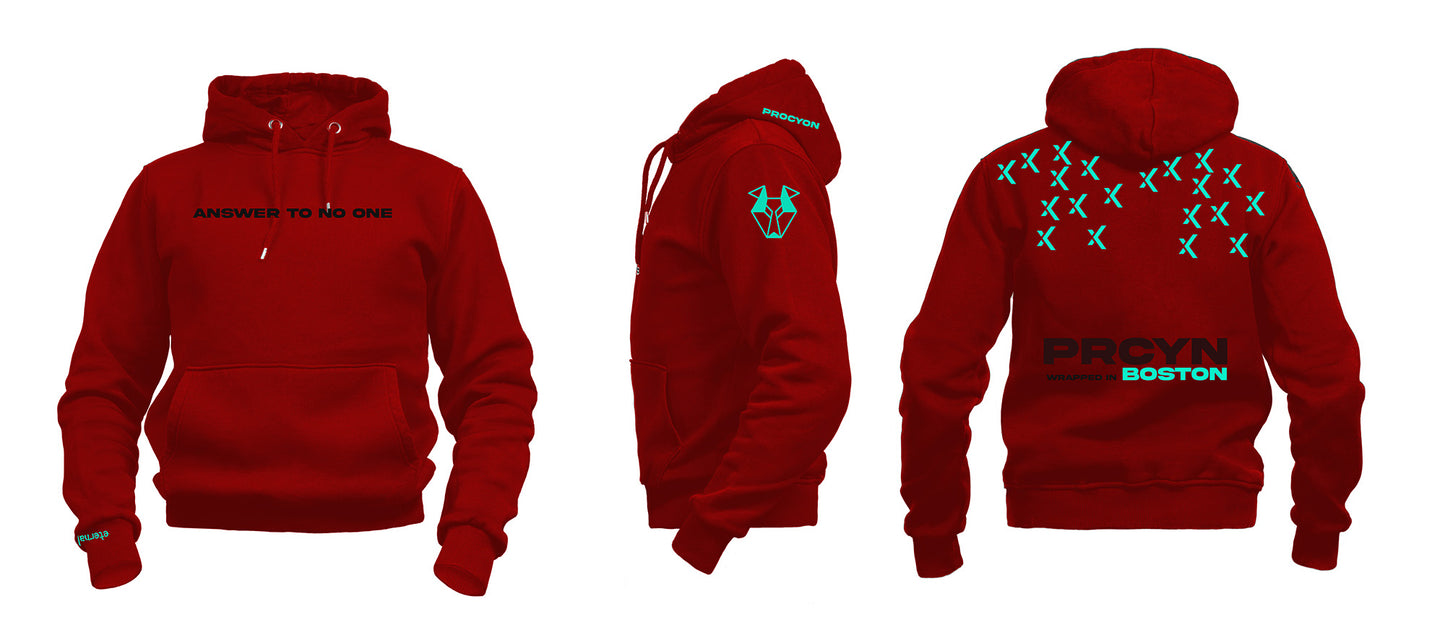 Procyon | Season 2, Article 10 - Heavy Pullover Hoodie