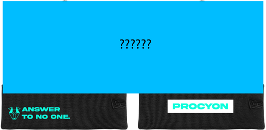 Procyon | Season 3, Article 03 - "The rEvolution" Mystery Winter Hat