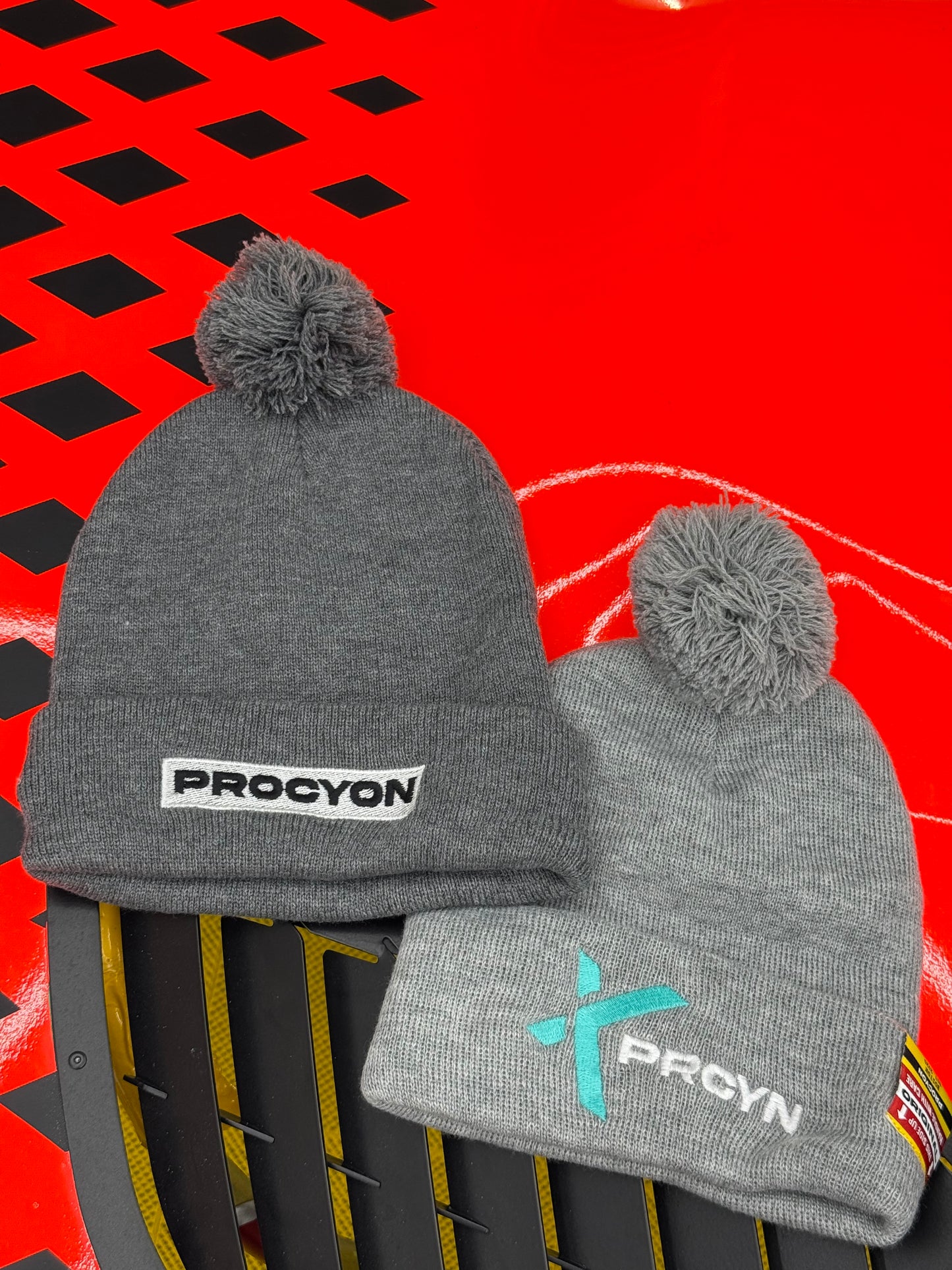 Procyon | Season 3, Article 03 - "The rEvolution" Mystery Winter Hat
