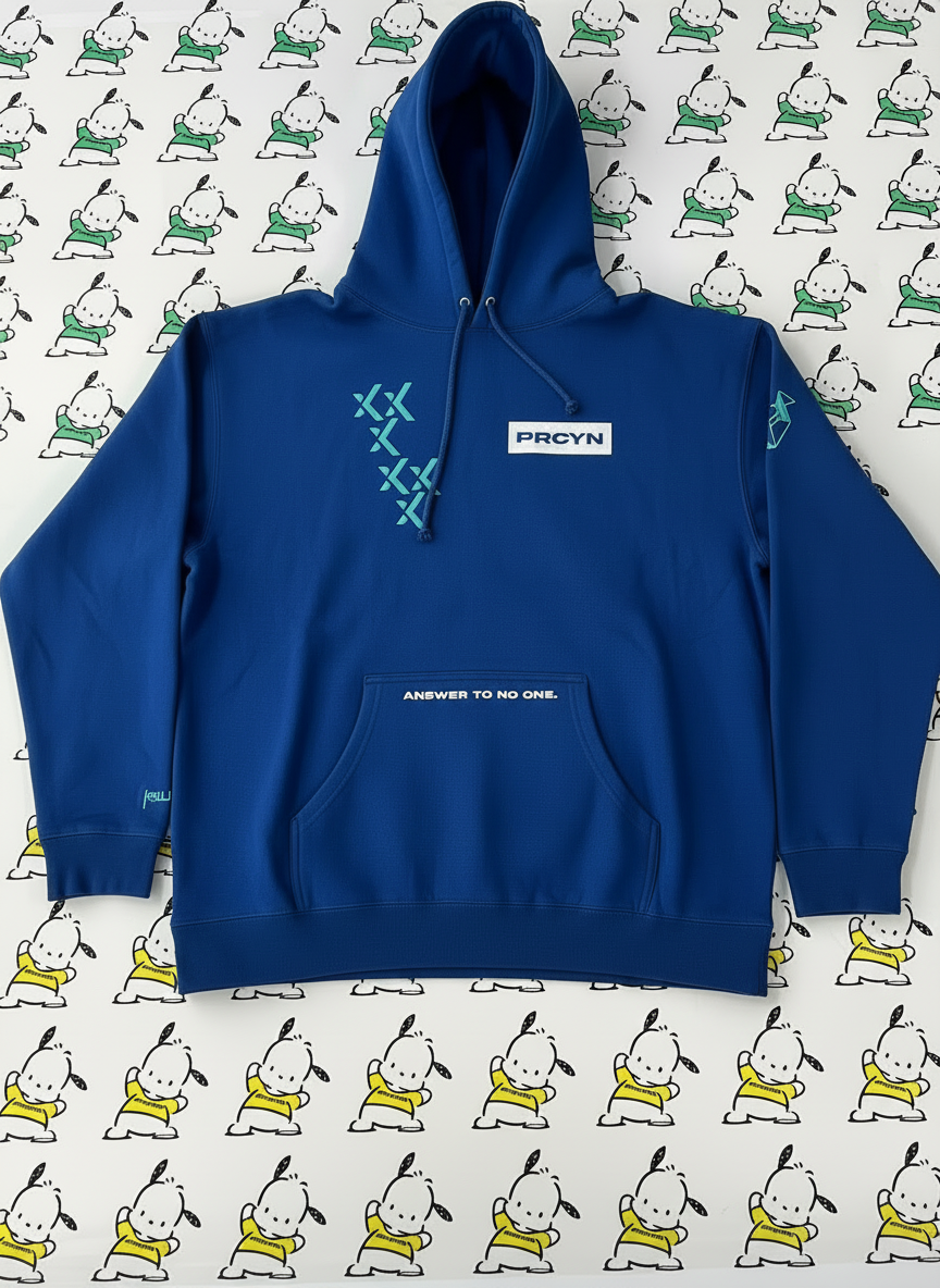 Procyon | Season 3, Article 09 - "The rEvolution" 2025 Heavy Pullover Hoodie