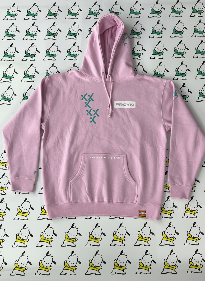 Procyon | Season 3, Article 09 - "The rEvolution" 2025 Heavy Pullover Hoodie