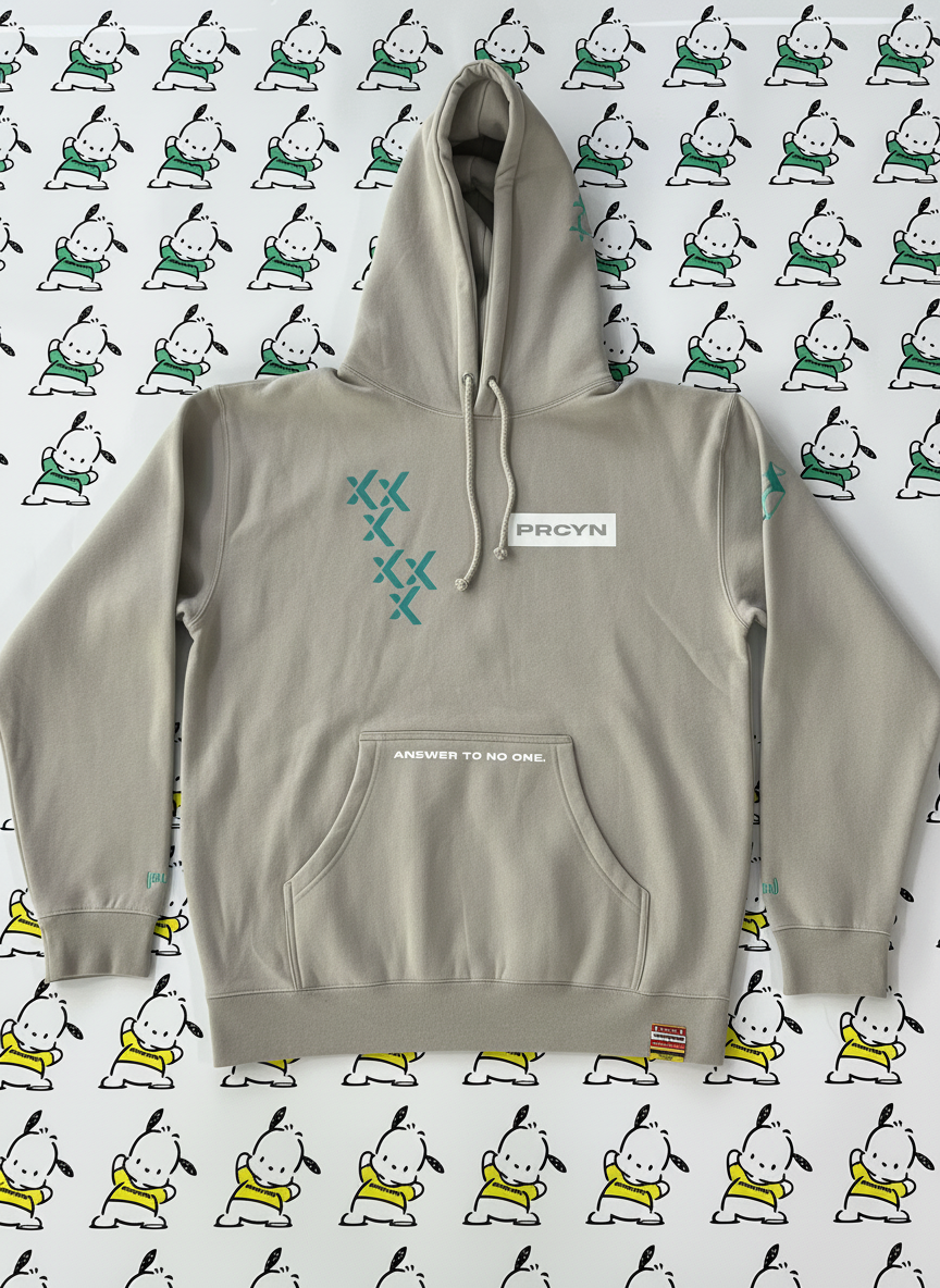 Procyon | Season 3, Article 09 - "The rEvolution" 2025 Heavy Pullover Hoodie